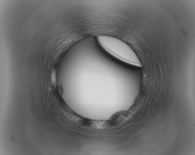 X0000113310143200909141013