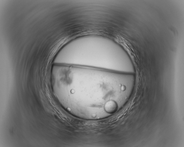 X0000113310145200909141013