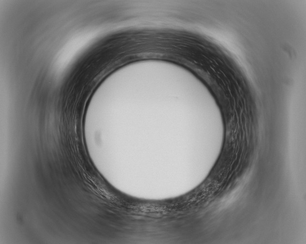 X0000113310146200909141013