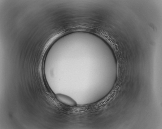 X0000113310147200909141013