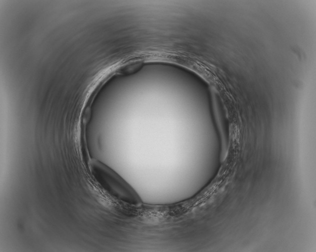 X0000113310148200909141013