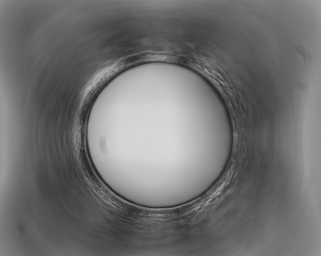 X0000113310149200909141013