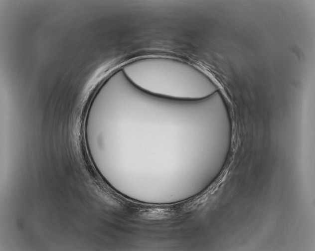 X0000113310151200909141013