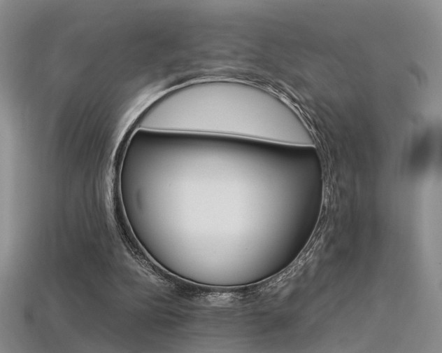 X0000113310152200909141013