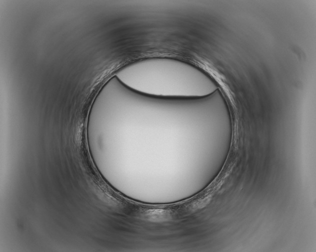 X0000113310153200909141013