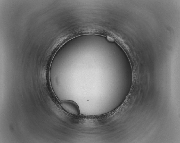 X0000113310154200909141013