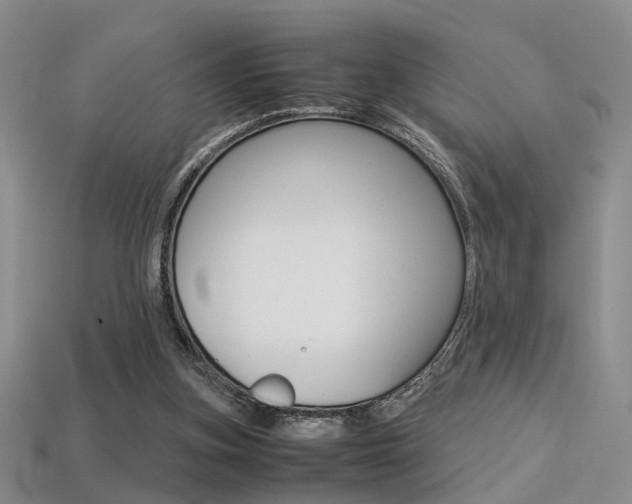 X0000113310155200909141013