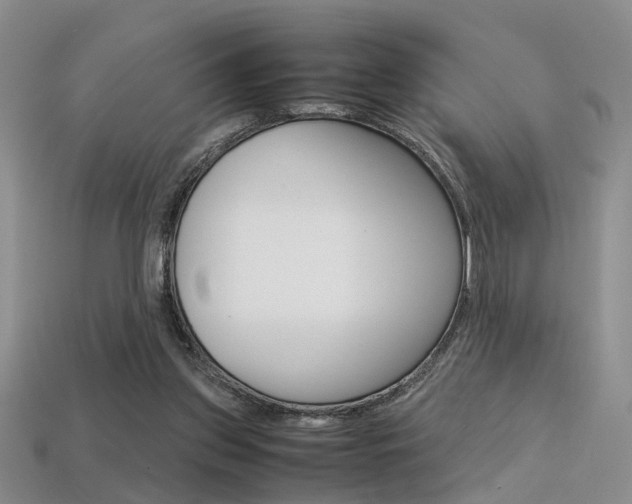 X0000113310157200909141013