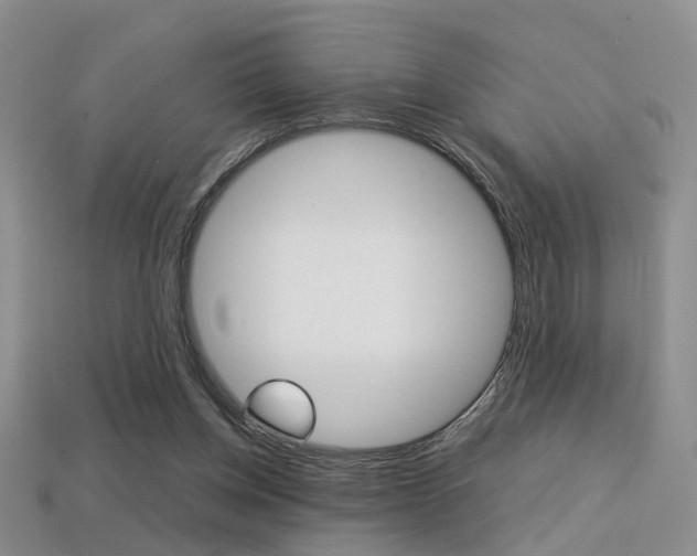 X0000113310158200909141013