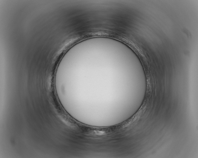 X0000113310159200909141013