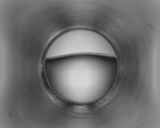 X0000113310160200909141013