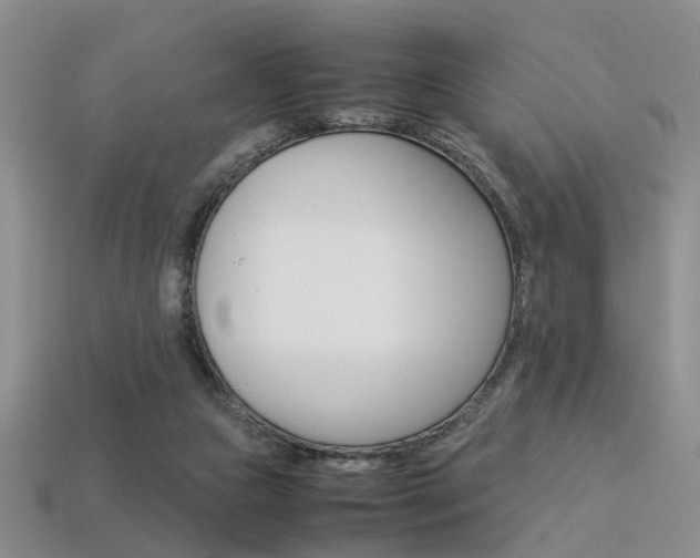 X0000113310161200909141013