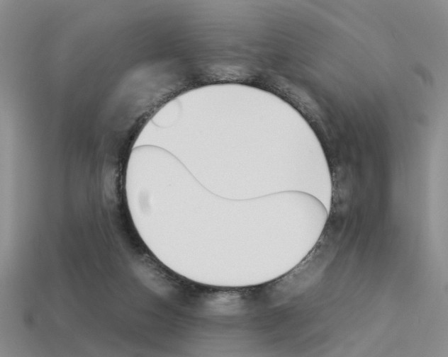 X0000113310162200909141013