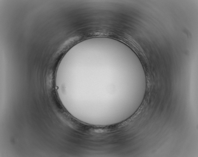 X0000113310163200909141013