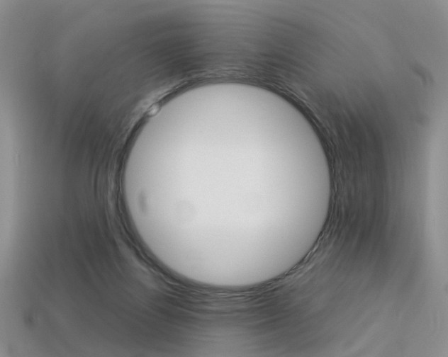 X0000113310164200909141013