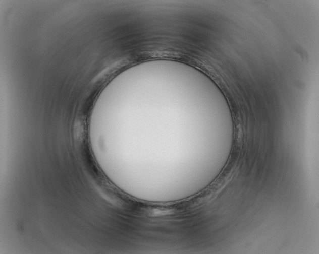 X0000113310165200909141013