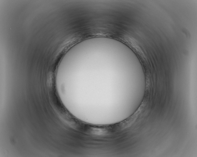 X0000113310167200909141013