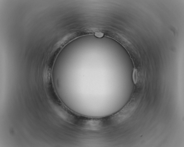 X0000113310168200909141013