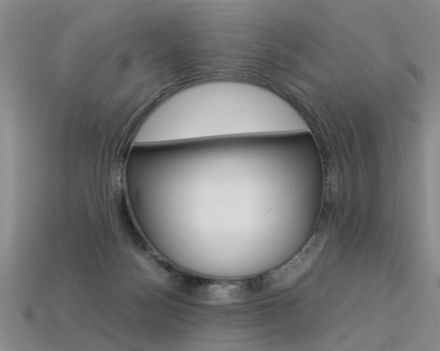 X0000113310172200909141013