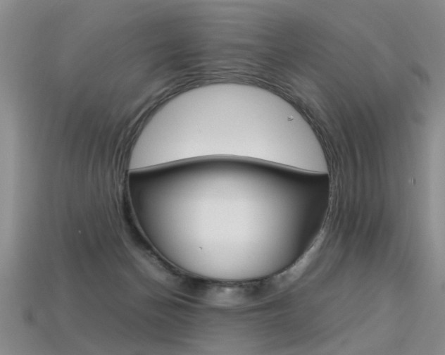 X0000113310174200909141013