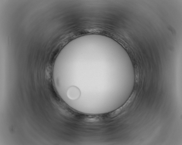 X0000113310175200909141013