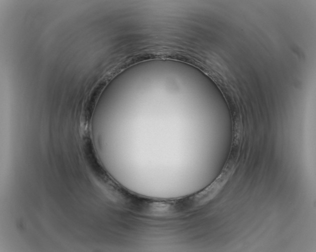 X0000113310176200909141013