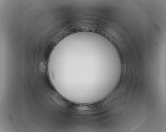 X0000113310177200909141013