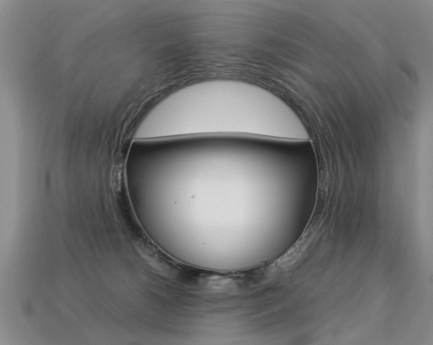 X0000113310180200909141013