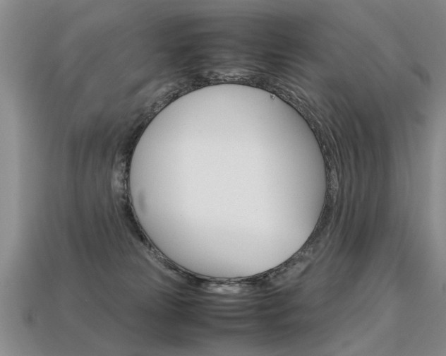 X0000113310181200909141013