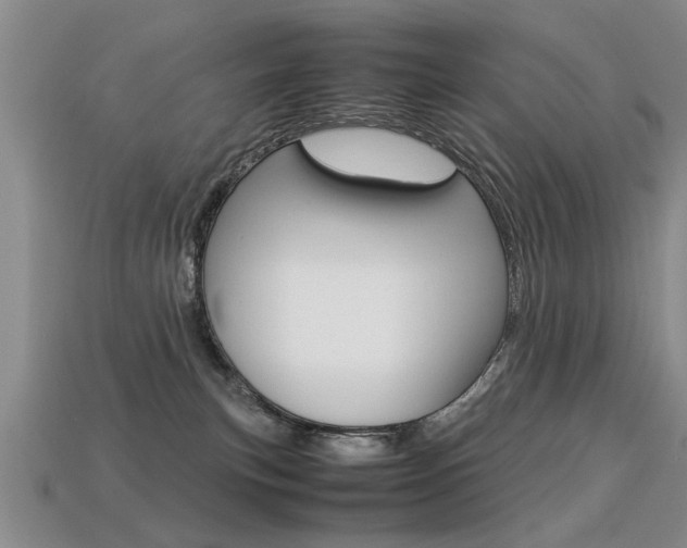 X0000113310183200909141013