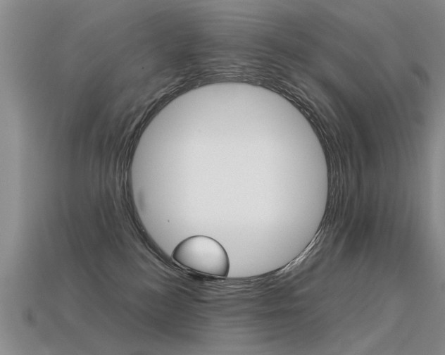 X0000113310184200909141013