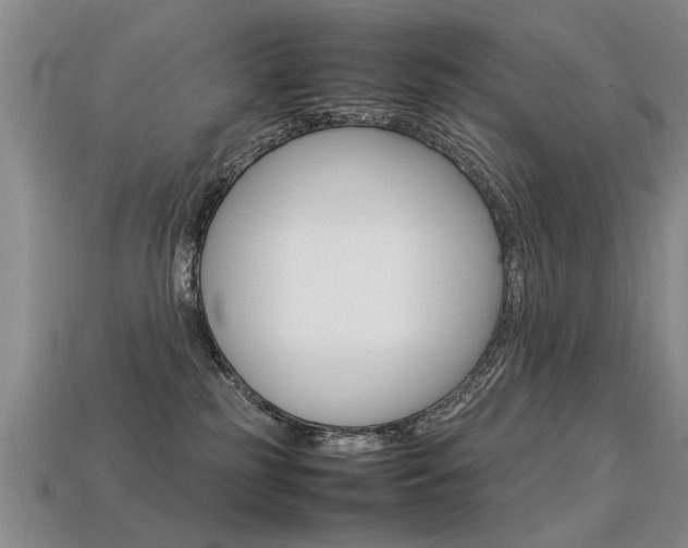 X0000113310185200909141013