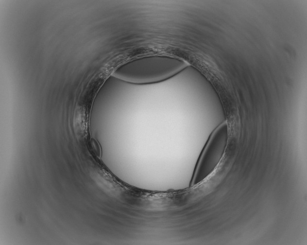 X0000113310186200909141013