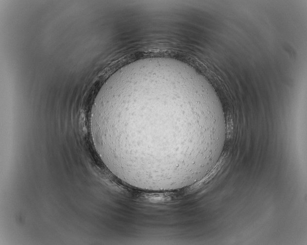 X0000113310187200909141013