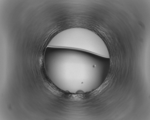 X0000113310188200909141013