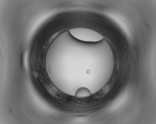 X0000113310189200909141013