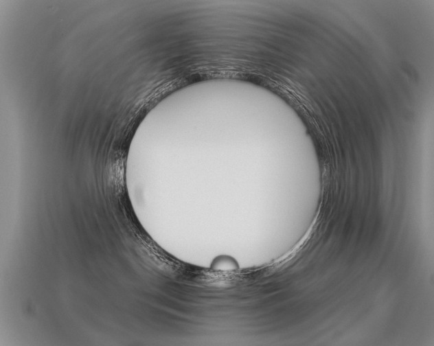 X0000113310190200909141013