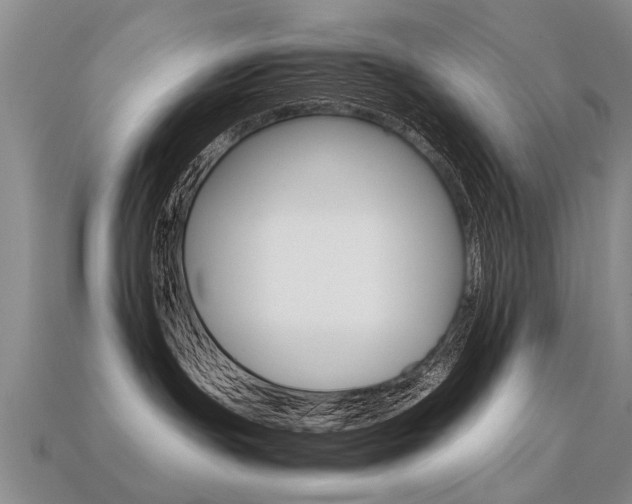 X0000113310191200909141013