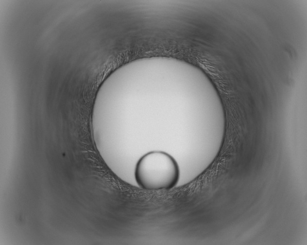 X0000113310192200909141013