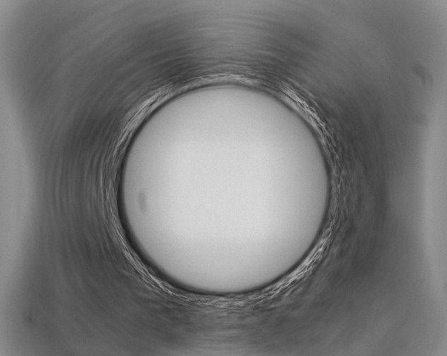 X0000113310193200909141013