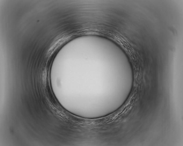 X0000113310194200909141013