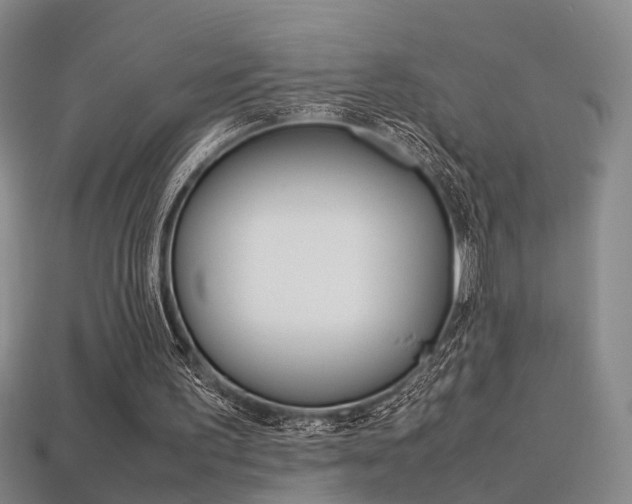 X0000113310195200909141013