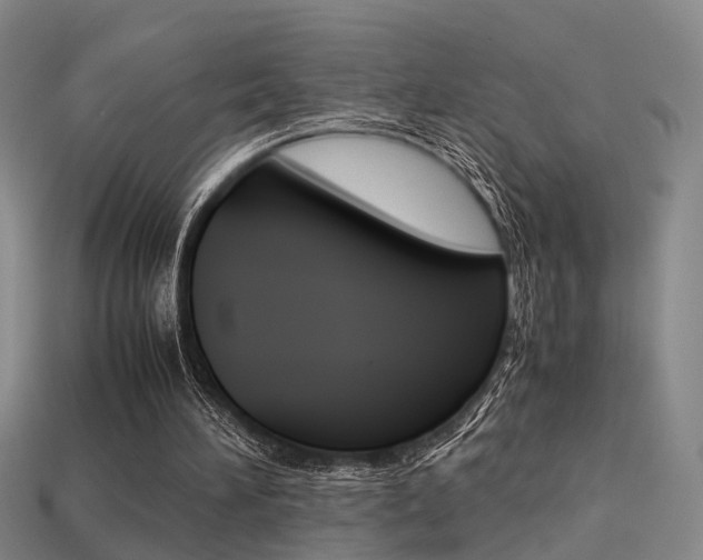 X0000113310196200909141013