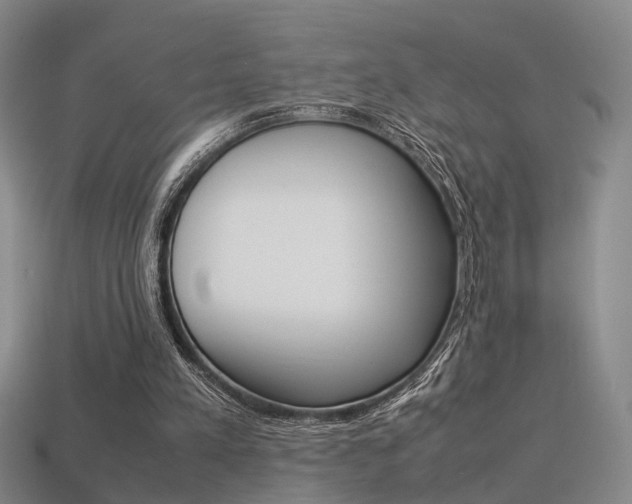 X0000113310197200909141012