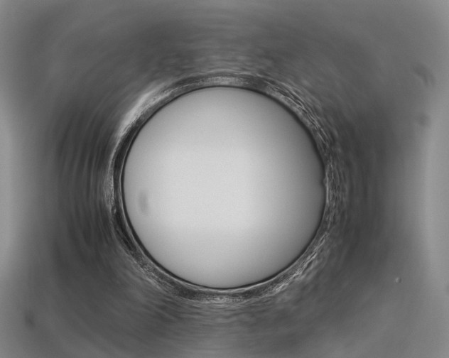 X0000113310198200909141012