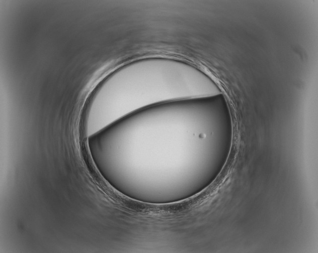 X0000113310199200909141012