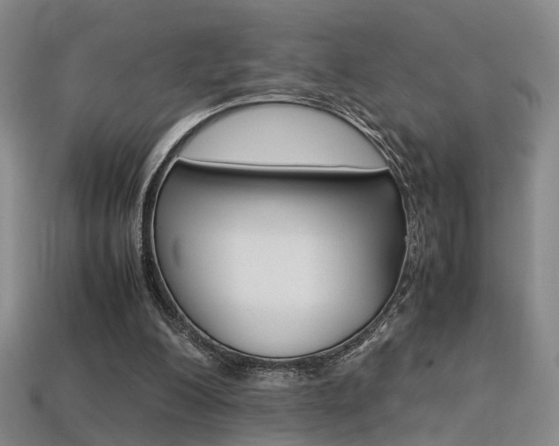 X0000113310200200909141012