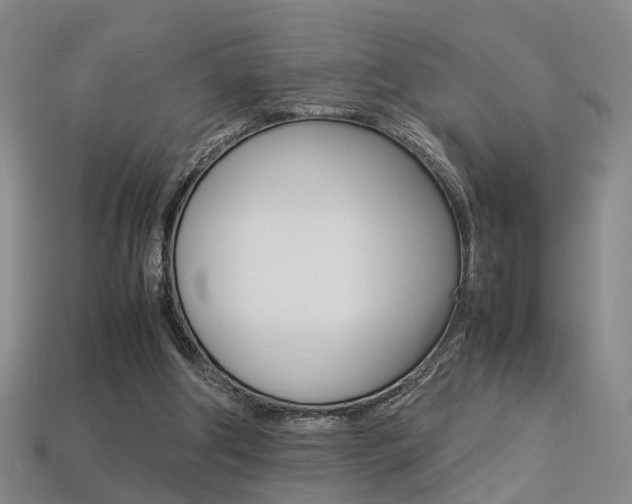 X0000113310202200909141012