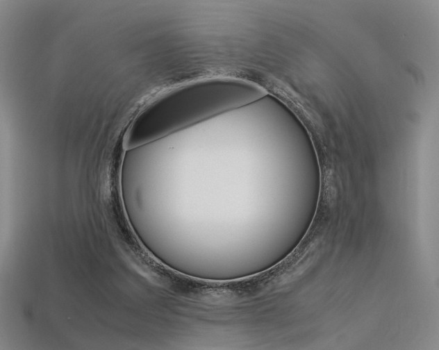 X0000113310203200909141012