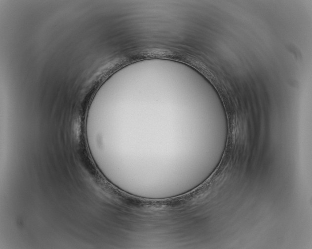 X0000113310206200909141012